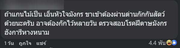 ซื้อไม้กายสิทธิ์กลับไทย ขึ้นเครื่องบินได้ไหม